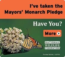 Mayor's Monarch Pledge